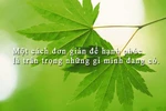 Giáo sư Nguyễn Lân Dũng đọc giùm bạn (24) - Tình thương