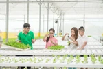 Xem mẹ con Thanh Vân Hugo, siêu mẫu Thúy Hạnh hào hứng “làm nông dân”