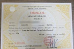 Thăng hạng giáo viên cần gì đến chứng chỉ ngoại ngữ và tin học?