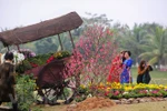 Khám phá lễ hội Xuân ba miền trong dịp Tết Nguyên đán 2018