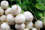 Củ cải có tác dụng ngăn ngừa ung thư