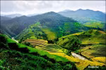 Góc ảnh: Mê mẩn ngắm cảnh đẹp ruộng bậc thang vùng cao (P3)