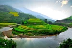 Mê mẩn ngắm cảnh đẹp ruộng bậc thang vùng cao