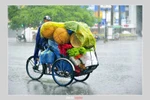 Góc ảnh: Huế - mưa buồn và những cảm xúc khó quên