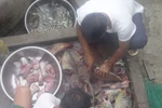 Xem bộ đội săn cá bò ở Trường Sa