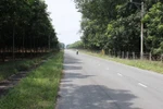 Cán bộ, châu chấu và chuyến tàu mang tên Tương Lai