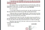 Không đủ chứng chỉ giáo viên sẽ bị thu quyết định tuyển dụng, Bộ trưởng có biết?