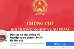 Giáo viên phải bồi dưỡng nghiệp vụ sư phạm, giảng viên không cần, tôi thấy vô lý