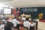 Cử tri Thành phố Hồ Chí Minh đề nghị cần tránh việc đốn hạ cây xanh tràn lan 