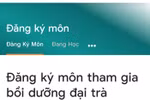 Giáo viên choáng ngợp với chương trình bồi dưỡng trực tuyến
