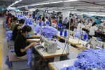 Nâng cao năng lực thanh tra ngành Lao động - Thương binh và Xã hội