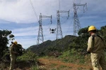 Yêu cầu khẩn trương thu tiền thuê đất Hệ thống đường dây truyền tải điện