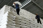 Hỗ trợ gạo cho 2 tỉnh Sóc Trăng, Nghệ An