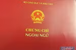 Viên chức nhiều ngành được bỏ chứng chỉ ngoại ngữ, tin học từ tháng 12