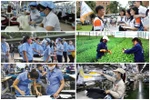 Thủ tướng đôn đốc triển khai Chương trình phục hồi và phát triển kinh tế-xã hội