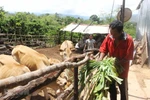 Phát triển toàn diện, nhanh, bền vững vùng đồng bào dân tộc thiểu số
