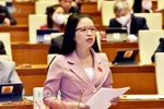 ĐB Nguyễn Thị Hà: phân luồng, tư vấn phải trên nguyên tắc tự nguyện