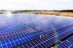 Nghiên cứu thành lập Trung tâm năng lượng tái tạo