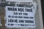 “Nghề” học thuê