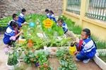 Hiệu trưởng nêu khó khăn khi tổ chức Hoạt động trải nghiệm, hướng nghiệp