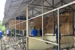 Đề nghị Bộ GDĐT sớm tham mưu để Chính phủ ban hành Đề án kiên cố hóa trường lớp