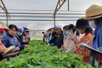 Lương 20 triệu nhưng ngành Công nghệ rau hoa quả và cảnh quan vẫn ít người học