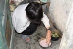 DS bạn đọc ủng hộ Quỹ TLVN tuần 1, 2, 3 tháng 11/2011