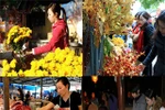 Sau Tết, từ thịt cá đến bát bún riêu... đội giá gấp đôi