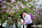 Sau 9 ngày nghỉ, tour Tết mới thực sự giảm giá sâu