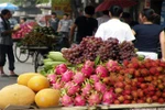 Nghe cảnh tỉnh về thói hư tật xấu của người Việt trong kinh doanh