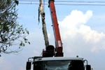 EVN chưa có phương án chuẩn bị trước cho sự cố mất điện toàn Miền Nam?
