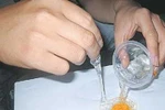 Choáng váng "mê cung" thịt bò, tai lợn giả Trung Quốc 