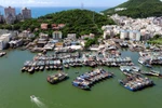 Ảnh: 9000 tàu cá Trung Quốc chuẩn bị đổ ra biển Đông trưa 1/8