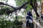 Bão Rammasun quét qua miền Nam Trung Quốc, 14 người thiệt mạng