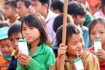 Bộ Y tế nên chỉ đạo thu hồi xác nhận hợp quy sữa dinh dưỡng học đường Vinamilk