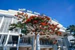 Tự chủ đại học thế nào khi quyết định của "cơ quan chủ quản" đè lên Luật?