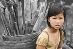 Kiến nghị Quốc hội giám sát việc phát hành, phân phối sách giáo khoa