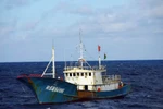 Tàu cá Trung Quốc đánh bắt trái phép tận Argentina