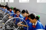 Triều Tiên sẽ xuất khẩu 120 ngàn lao động qua Trung Quốc