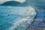 Hàn Quốc: hơn 100 người bị sóng cuốn trôi khi tắm biển tại Busan