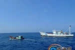 Video: Tàu cá Việt Nam kiên cường đương đầu Hải giám TQ ở Hoàng Sa