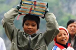 Quan ngại kiểu "tích hợp" sách giáo khoa mới