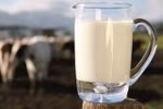 Sữa tươi có đủ vi chất cần thiết, vì sao vẫn cần bổ sung?