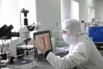 Đại học Quốc gia Hà Nội thành lập Viện Bán dẫn và Vật liệu tiên tiến
