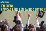 Tiến sĩ Hoàng Ngọc Vinh phân tích "liên thông đào tạo" méo mó vì đâu