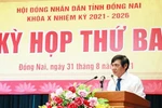 Phó Chủ tịch UBND Đồng Nai kiến nghị giải pháp phát triển GDMN ở khu công nghiệp