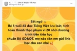 Không hề có chương trình tiền tiểu học chuẩn Bộ GD&ĐT, phụ huynh đừng để bị lừa