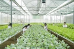 Giáo dục đại học phải gắn liền với với khoa học công nghệ, nên để 1 Bộ quản lý