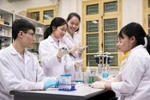Hiệu trưởng, Chủ tịch Hội đồng trường: Ai là người đứng đầu nhà trường?