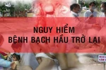 Bộ Giáo dục chỉ đạo về phòng, chống bệnh bạch hầu trong trường học